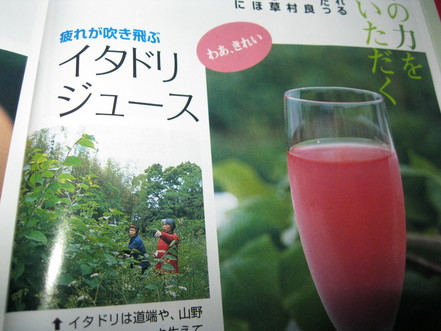 おいらの「愛読書」~~_a0125419_11385518.jpg