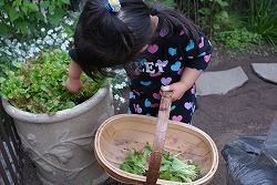 f0170524_14301762.jpg
