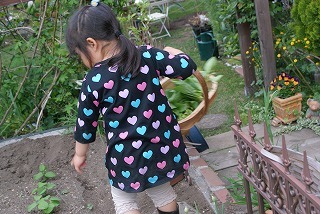 f0170524_1432229.jpg