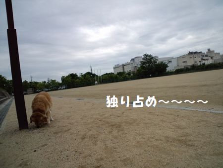 b0127531_20491158.jpg