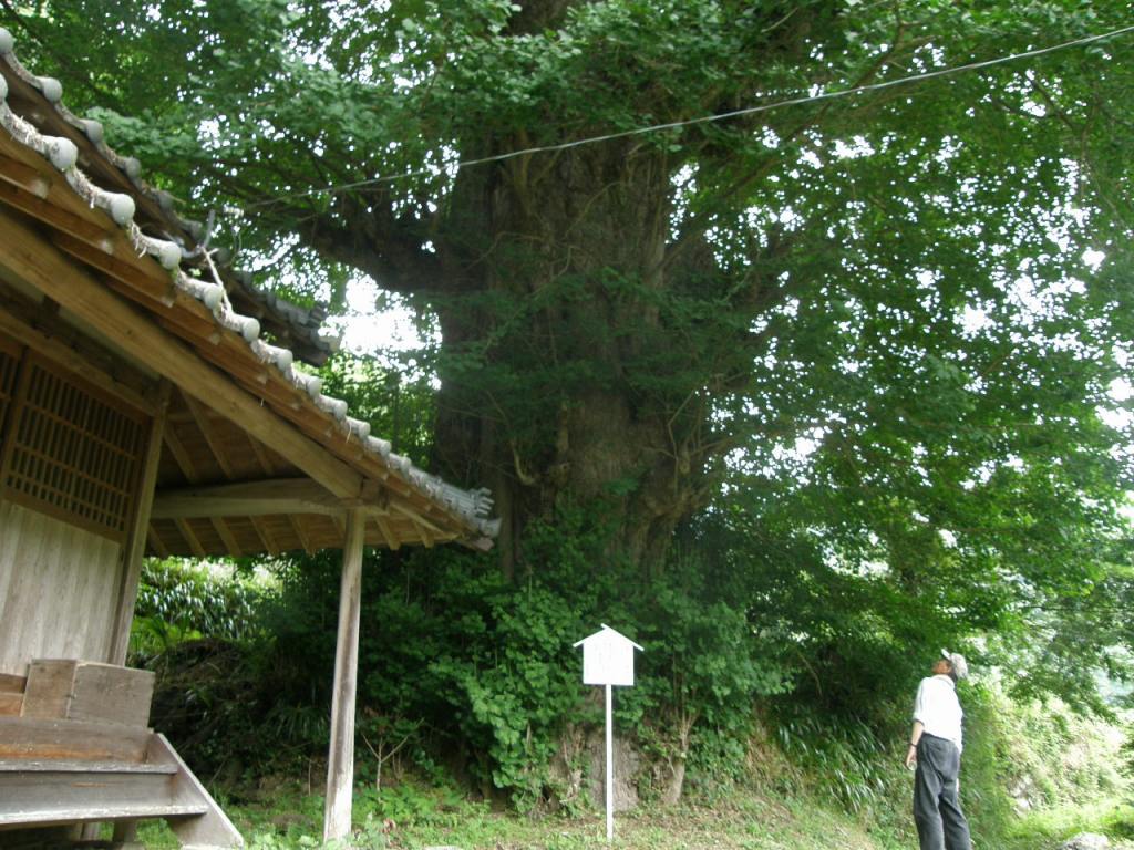 c0141933_011848.jpg