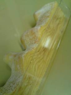 c0025937_1635570.jpg
