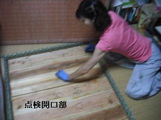 白蟻・・・点検_f0031037_17565573.jpg