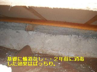 白蟻・・・点検_f0031037_17571970.jpg