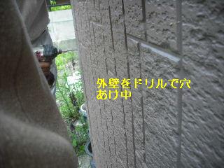 白蟻・・・点検_f0031037_17591917.jpg