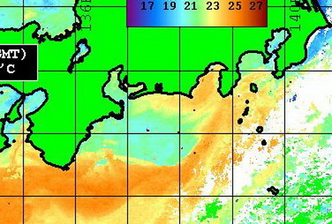 遠州灘沖　3～5マイル沖にカツオが！？　じゃあ、カ◎キも？？【カジキ・マグロトローリング】_f0009039_1636756.jpg