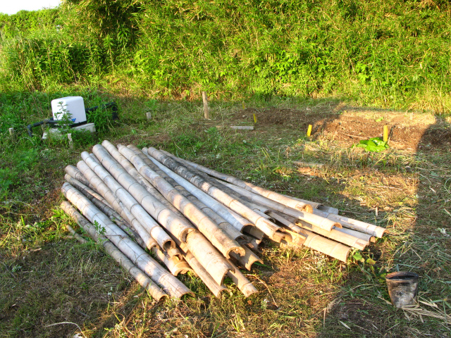 c0039145_00594.jpg
