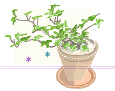 e0181047_23253498.gif