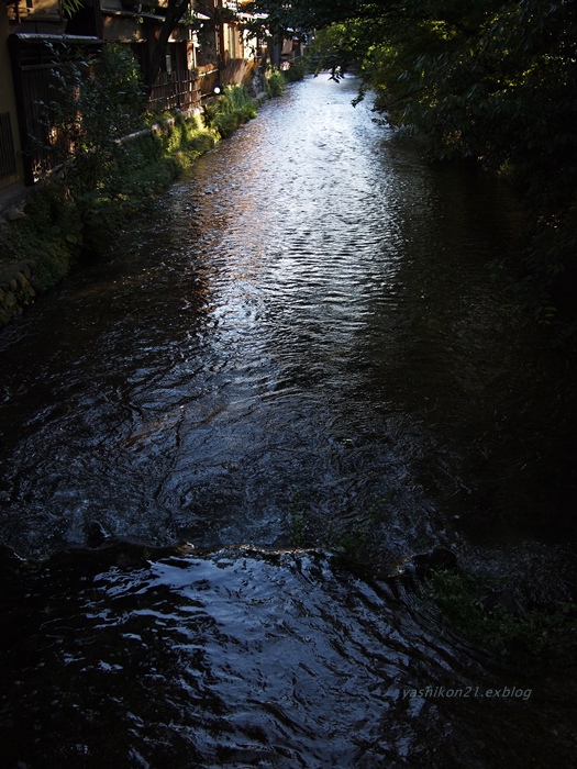 a0136249_0453612.jpg