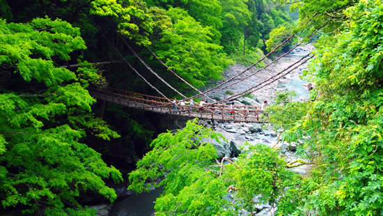 2010.5.31　徳島旅行(2日目 - 祖谷渓観光編 -)_d0078656_23255927.jpg