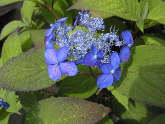 f0138768_23422888.jpg