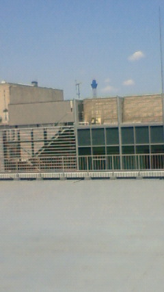 c0154876_1751947.jpg