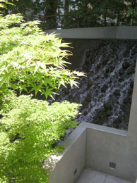 みどり探索_d0079577_17565315.jpg