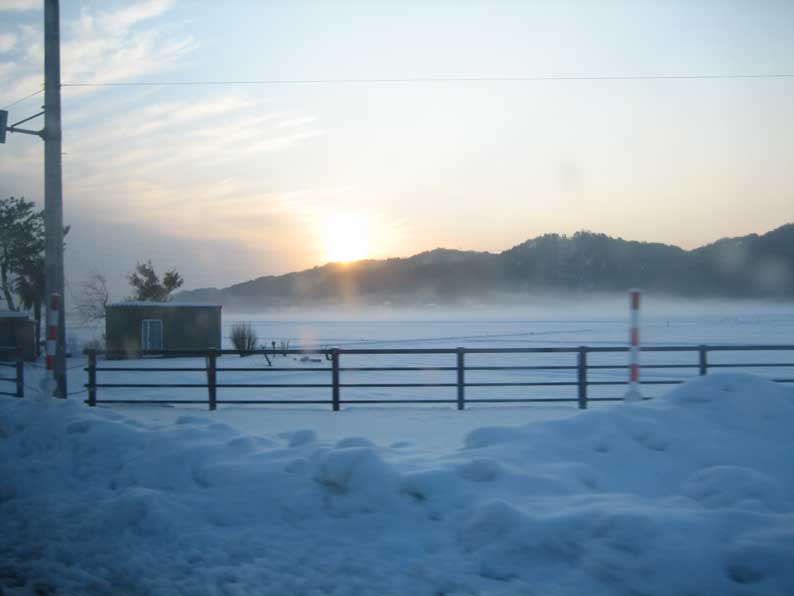b0057679_828561.jpg