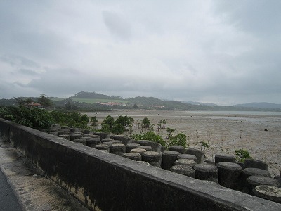 b0112796_1754501.jpg