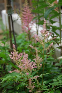 c0124100_23531224.jpg