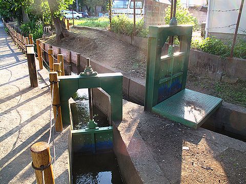 c0163001_12343537.jpg