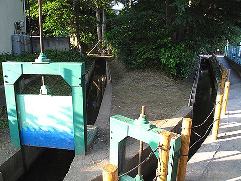 c0163001_12345440.jpg