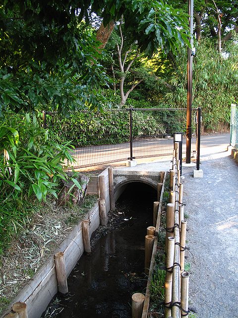 c0163001_12351354.jpg