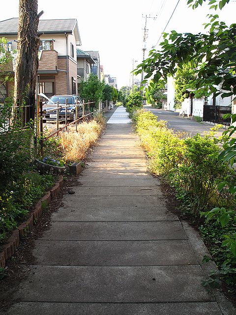 c0163001_12354763.jpg