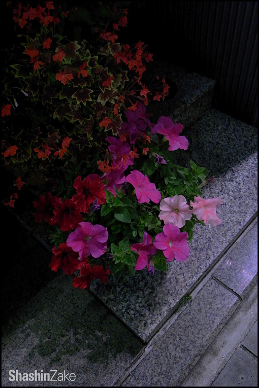 c0102003_18185789.jpg