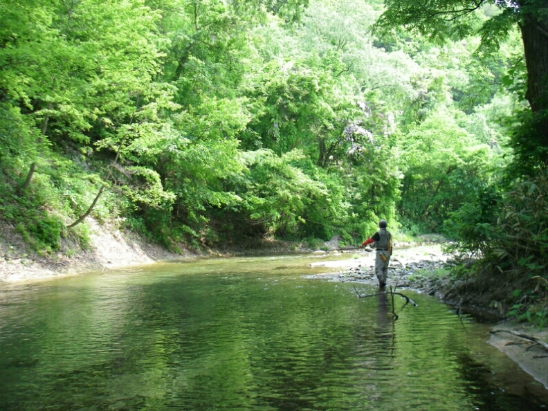 b0172805_4584692.jpg