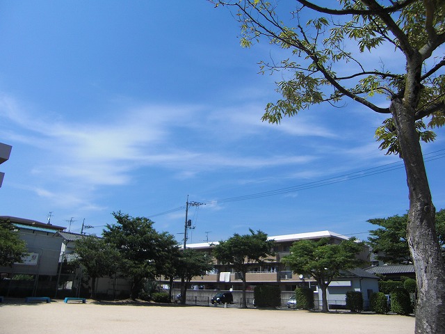 a0060806_18323219.jpg