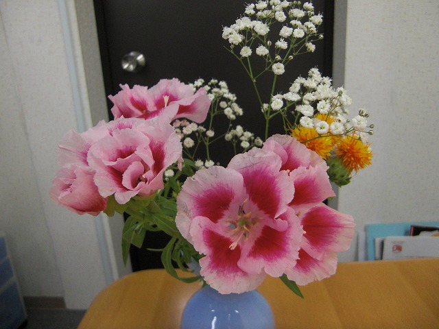 a0060806_201106.jpg