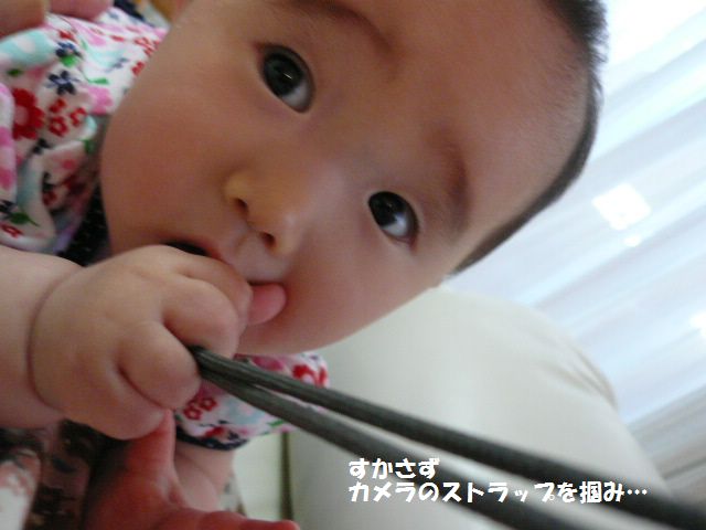 e0094407_21521284.jpg