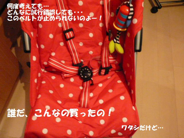 e0094407_2311138.jpg