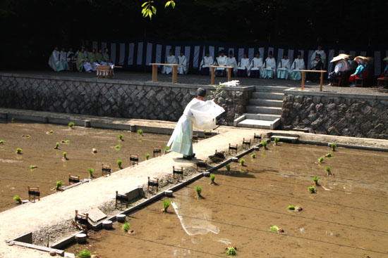 伏見大社 田植祭_e0048413_1549911.jpg