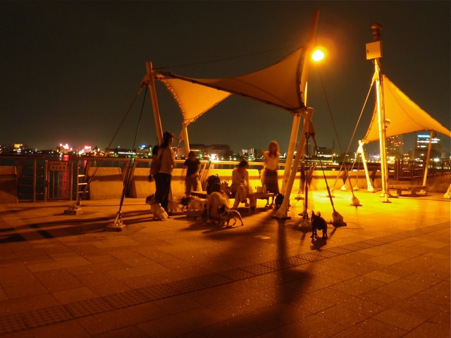 b0143214_2228568.jpg