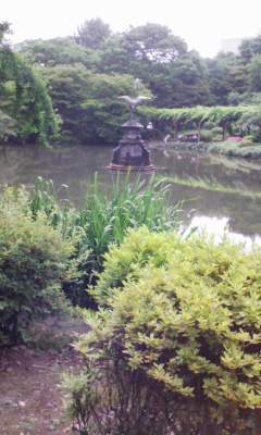 e0009714_857143.jpg