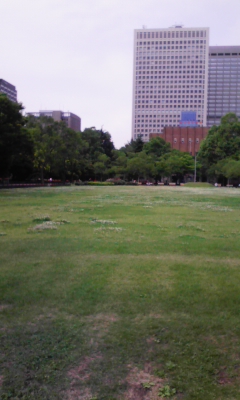 e0009714_857178.jpg