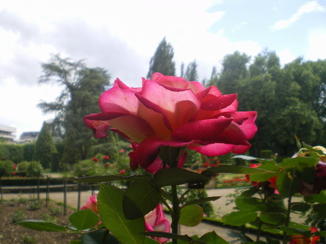 c0124619_7314428.jpg