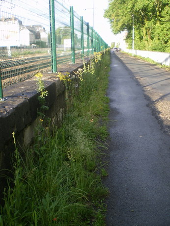 c0124619_7371868.jpg