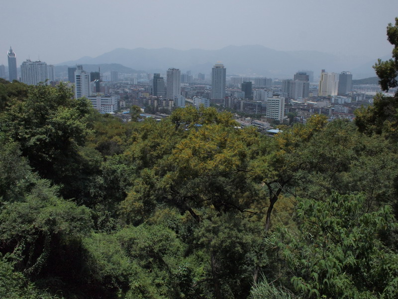 d0090322_8342194.jpg