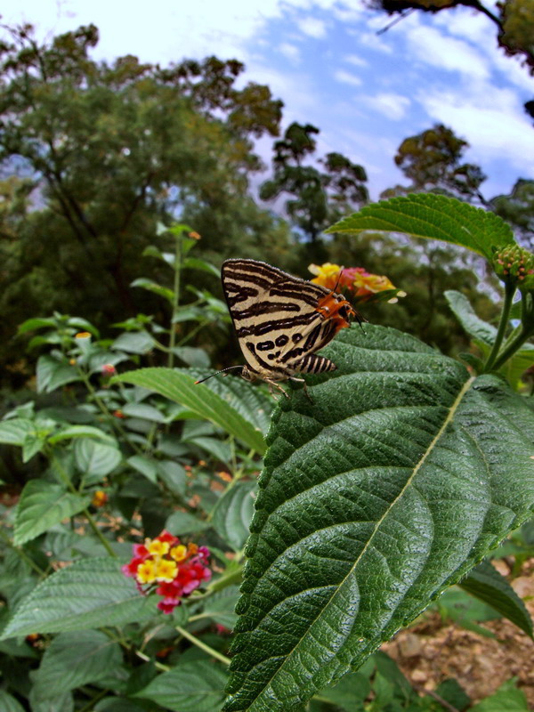 d0090322_83579.jpg