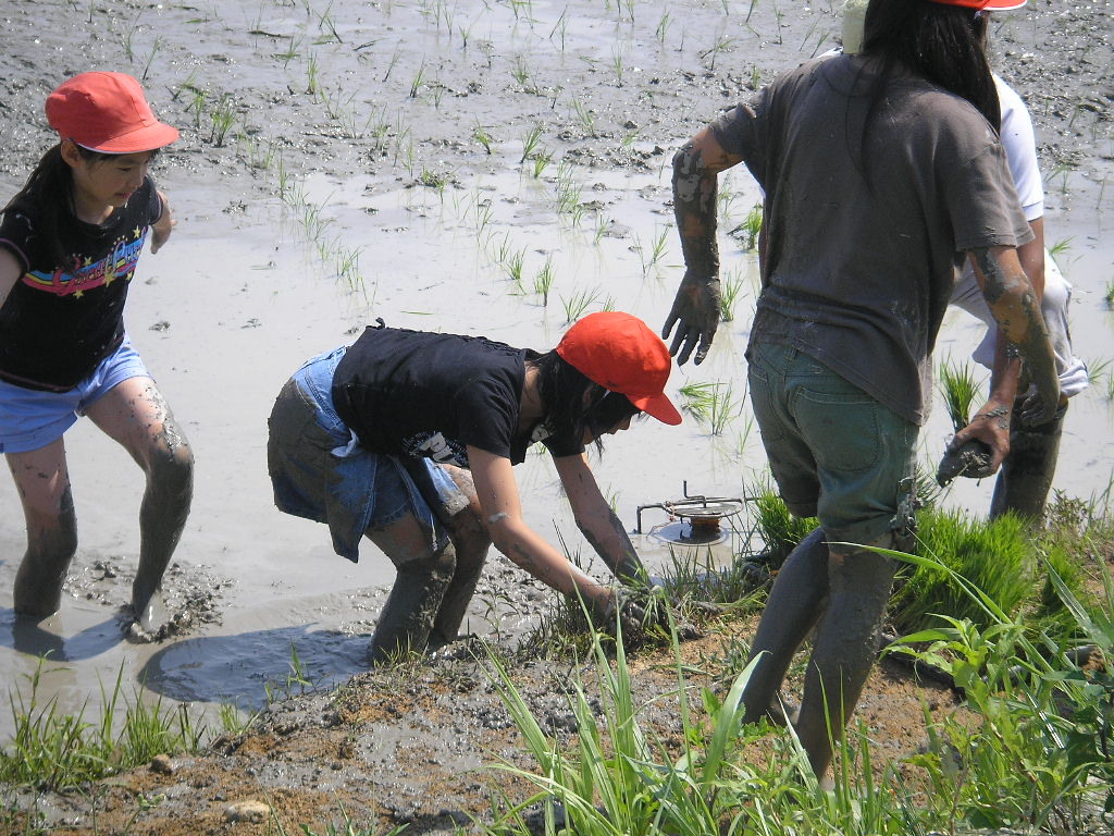 6/12小学生の田植え_a0048823_19531399.jpg