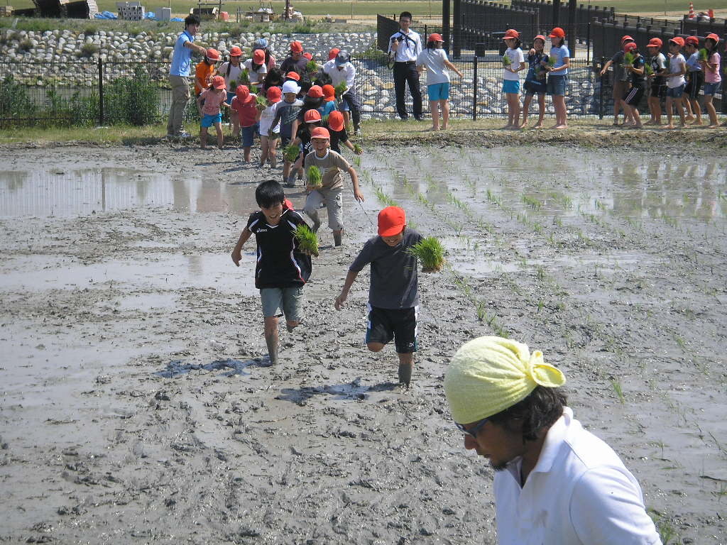 6/12小学生の田植え_a0048823_1956497.jpg