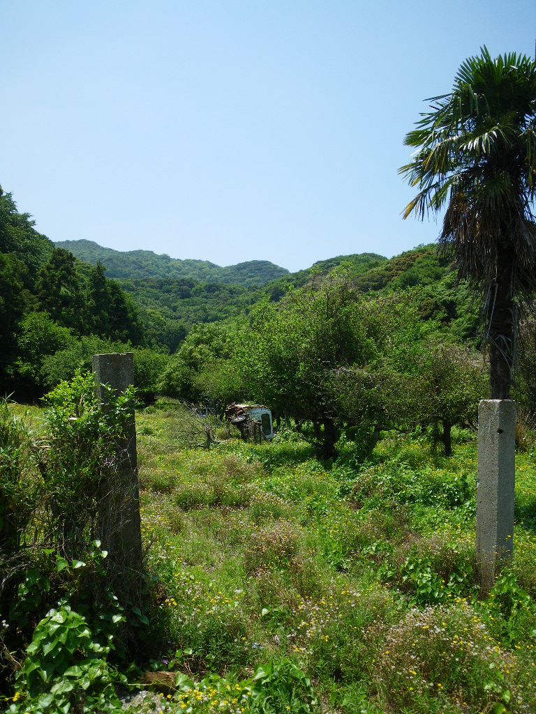 c0189724_23172890.jpg