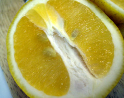 f0165224_23164555.jpg
