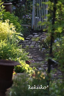 f0170524_12402637.jpg