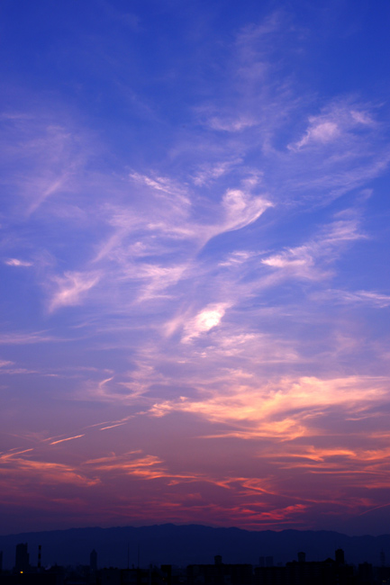 a0145825_20144928.jpg