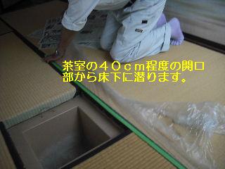 現地調査 第二弾_f0031037_18174781.jpg