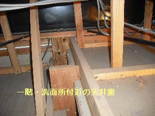 現地調査 第二弾_f0031037_18191611.jpg