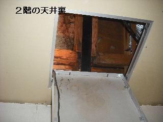 現地調査 第二弾_f0031037_18201262.jpg