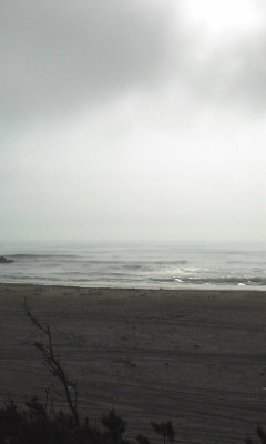 d0155343_1023599.jpg