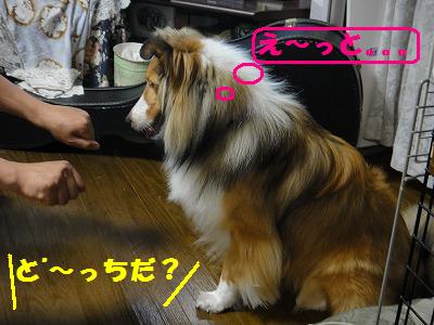 昨日おぼえた新技ゲーム?!_e0195743_6453015.jpg