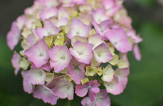 f0094843_2025195.jpg
